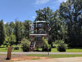 Beanstalk Zip Lines