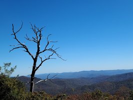 Blue Ridge Parkway