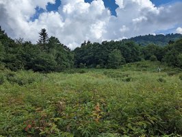 Blue Ridge Parkway