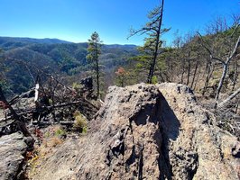 Chestnut Knob Trail