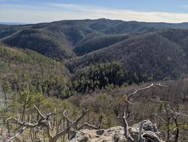 Chestnut Knob Trail