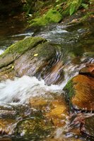 Lake James State Park Paddy's Creek Area