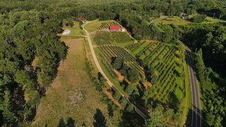 Perry's Berrys- Pick Your Own Blueberry Farm and Winery