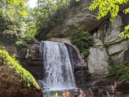 Pisgah National Forest