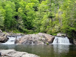 Pisgah National Forest