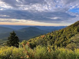 Pisgah National Forest