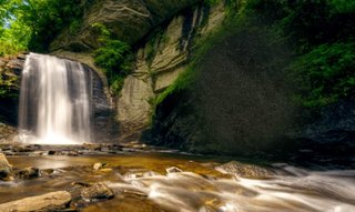 Pisgah National Forest