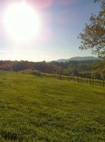 Silver Fork Vineyard & Winery