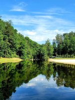 Steele Creek Campground