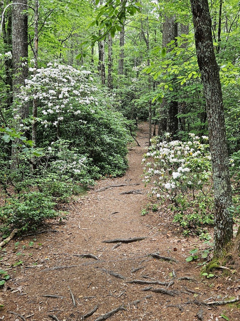 Upper Creek Falls - Burke County Tourism