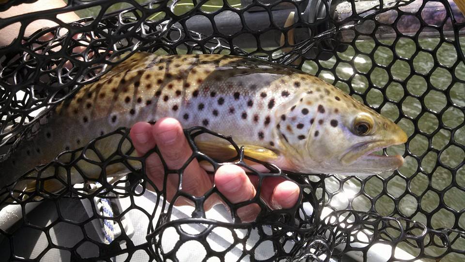 On The Fly Guide Service
